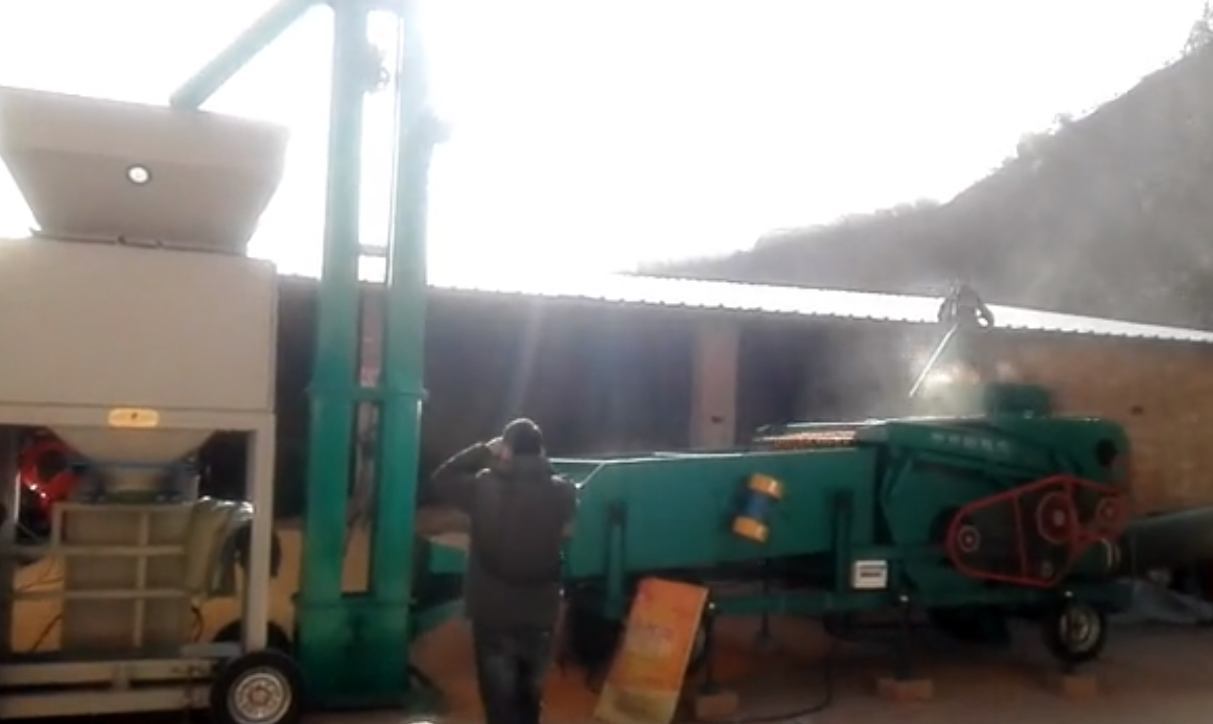 玉米精選機工作視頻